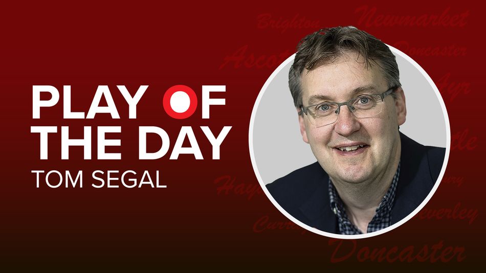 Tom Segal Daily Picks: Reliable Horse Racing Analysis & Tips